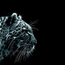 عَبْدُاَلَلّّهْ