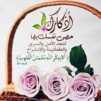 Ahmed Zizo