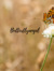 Butterf...