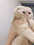 inouch