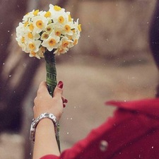 نرگس بنی صفر