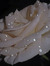 HaDeel ...