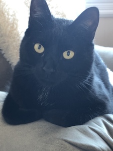 Kara