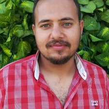Hossam Emam