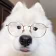 Nhi