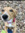 chickenmama | 2 comments