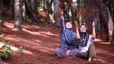 Ayu Shapi