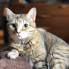 Andrew Eldredge-martin