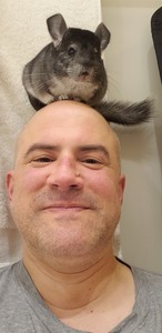 Joshua Gitelson