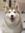 member photo member photo