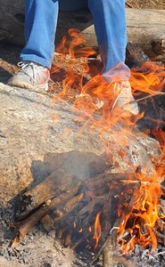 Roghayeh Khosravizadeh