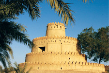 محمد السويدي