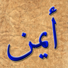 أيمن محيي الدين