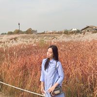 Ming Ying