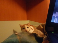 Alessandro Pinciroli