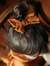 Alaa Wael