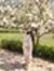 Noura Saed