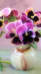 Tina Baesman