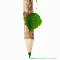 ياسر الشامي