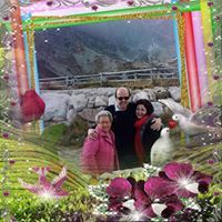 Carole Hammerschmidt