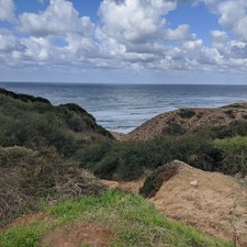 Michele Kaplan-Green