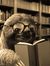 Susan - Read, Read, No Sleep, Repeat