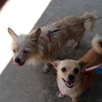 Denise Moore-Patrick