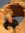 David Ho | 1 comments
