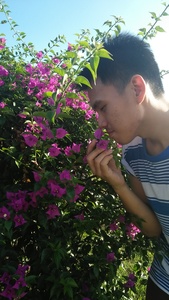 Jose Mari