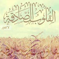حمزة أبوعبيد الله