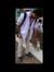 Hrushikesh