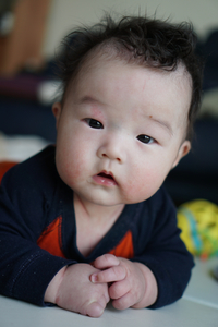Wenjun