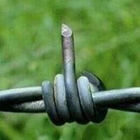 स्वामी शंभू