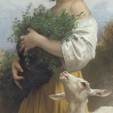 Gry
