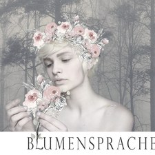 Schmetti