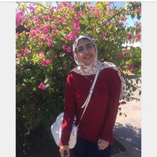 Reem A. Khafagy