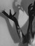 PunkGothic