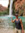 Nicole Roloff | 3 comments