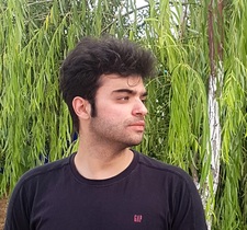 Mohammad Hossein Ziaei