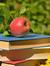 Novels and Nummies