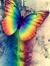 Abeer Nasr