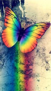 Abeer Nasr