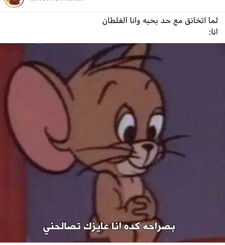 معتز الحملي