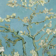 Rasmia Rahamathullah 