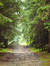 Forrest...