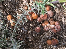 This isn’t my name