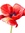 bohemian_wildflower