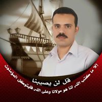 محمد سالم