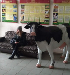 Нина Шулякова