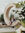 Allison Traub | 1 comments